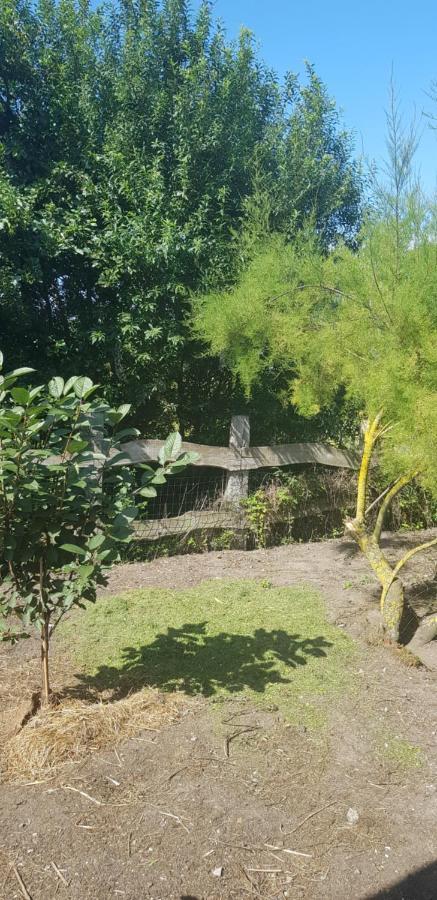 Bed and Breakfast L Hyppo Camp' Oye-Plage Экстерьер фото